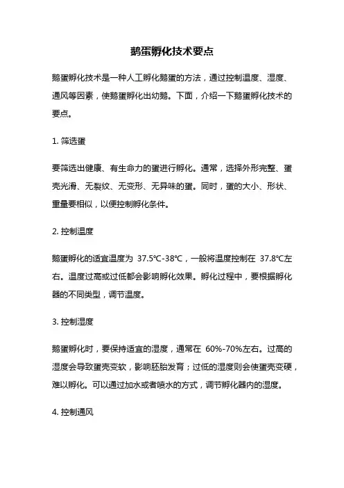 鹅蛋孵化技术要点