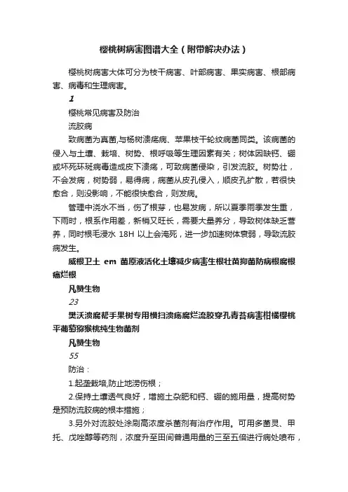 樱桃树病害图谱大全（附带解决办法）