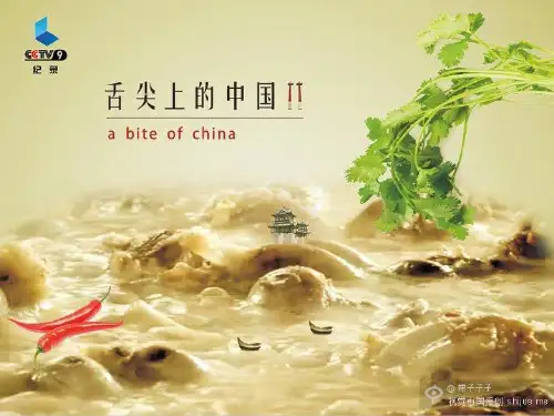 舌尖上的中国 英文版