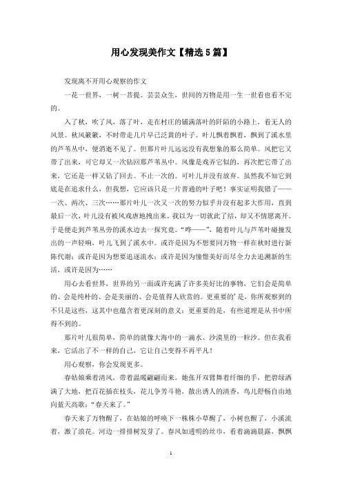 精选用心发现美作文【5篇】