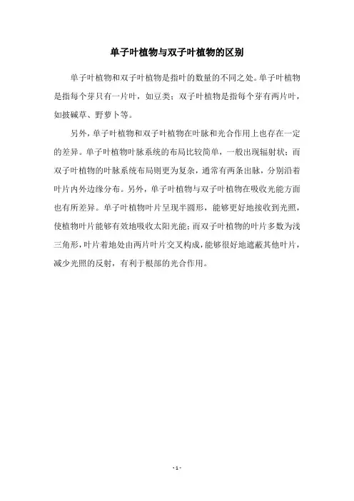 单子叶植物与双子叶植物的区别
