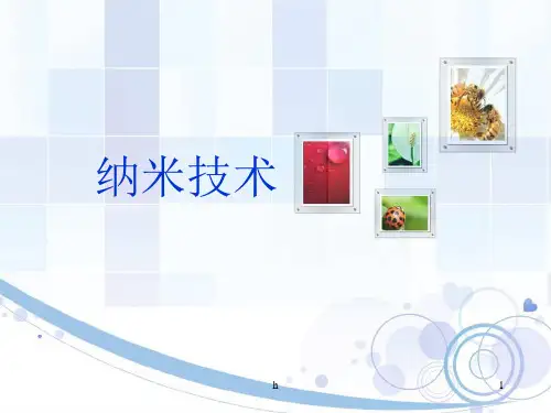 《纳米技术》PPT课件