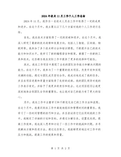 2024年技术11月工作个人工作总结