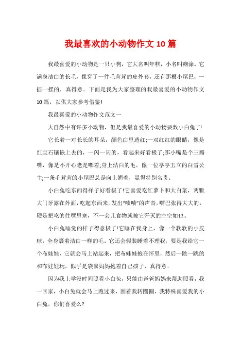 我最喜欢的小动物作文10篇