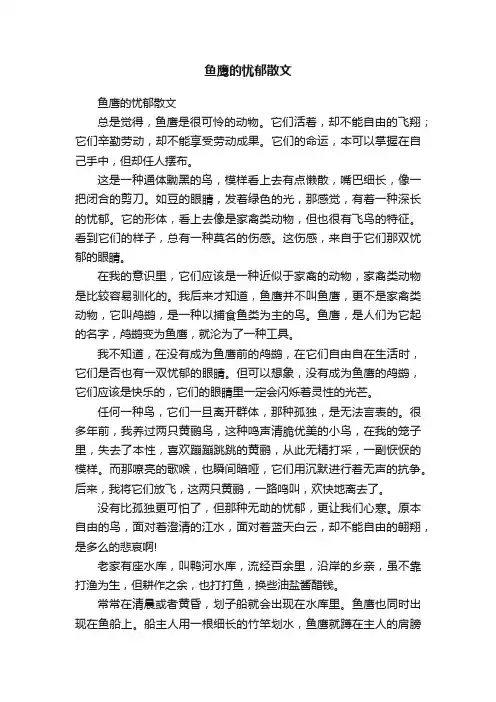 鱼鹰的忧郁散文