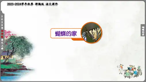 蝴蝶的家(共31张PPT)