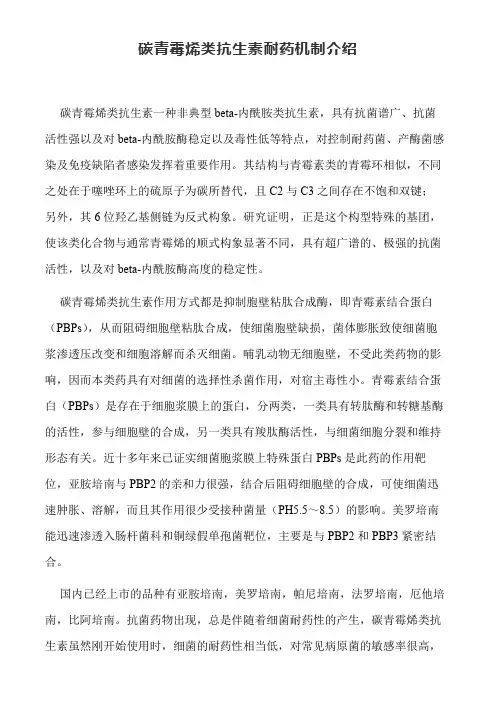 碳青霉烯类抗生素耐药机制介绍