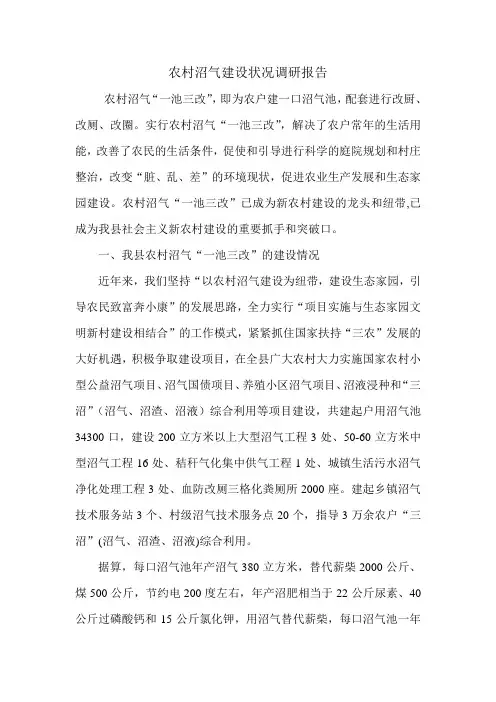 农村沼气建设状况调研报告_0.doc