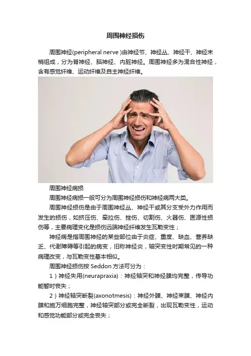 周围神经损伤