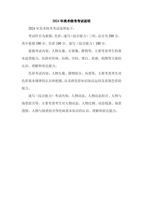 2024年美术统考考试说明