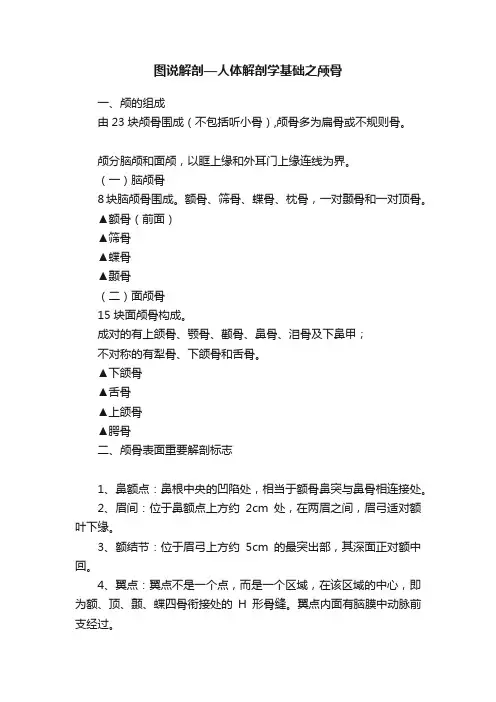 图说解剖—人体解剖学基础之颅骨
