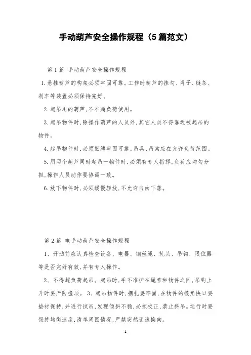 手动葫芦安全操作规程(5篇范文)