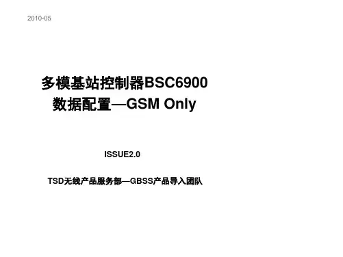 平衡计分卡-BSC69V9R011 GO 数据配置基于weblmt 精品