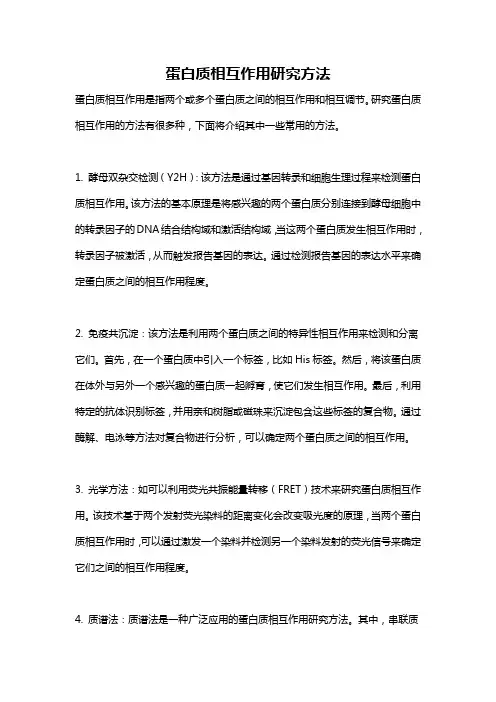 蛋白质相互作用研究方法