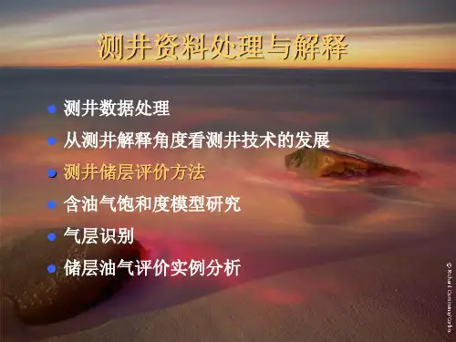 测井资料处理与解释