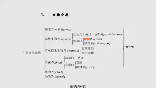 微生物湿法冶金的进展与展望PPT课件