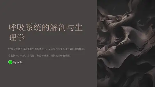 呼吸系统的解剖与生理学