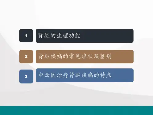 肾脏病概述医学PPT课件