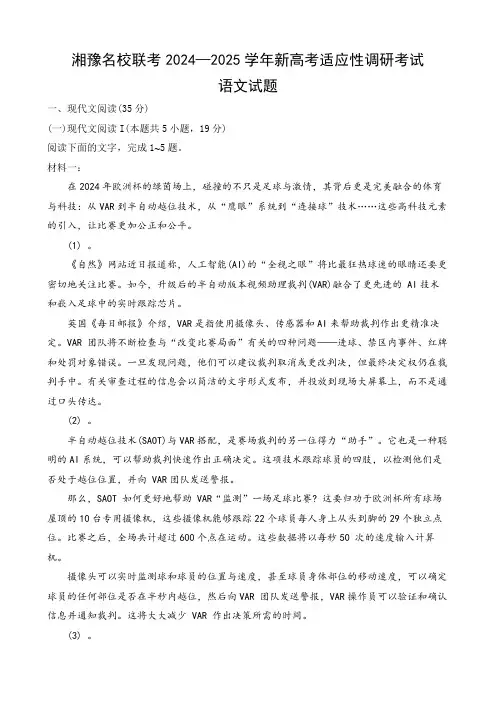 湘豫名校联考2024—2025学年新高考适应性调研考试语文试题及答案解析