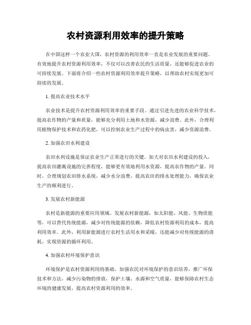 农村资源利用效率的提升策略