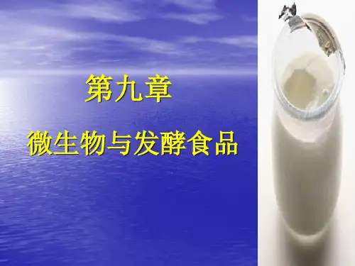 食品微生物学 第九章 微生物与发酵食品