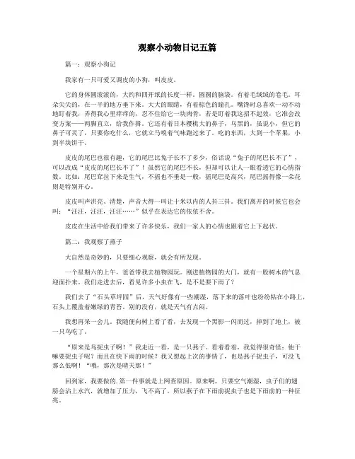 观察小动物日记五篇