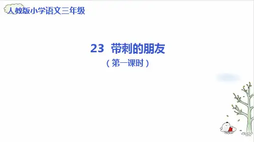 《带刺的朋友》ppt课件9(共17张PPT)