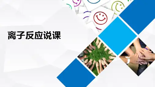 离子反应ppt课件