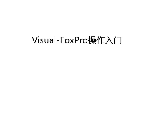 Visual-FoxPro操作入门资料讲解