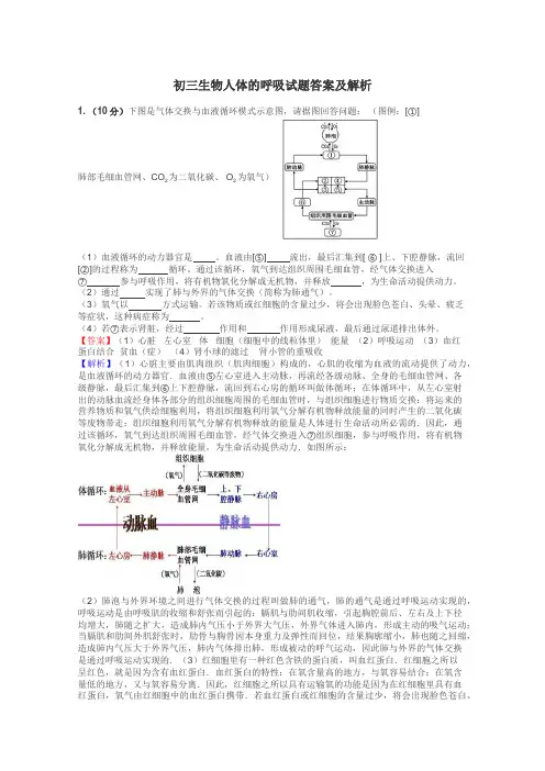 初三生物人体的呼吸试题答案及解析
