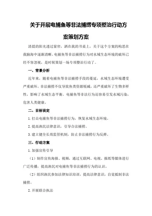 关于开展电捕鱼等非法捕捞专项整治行动方案策划方案