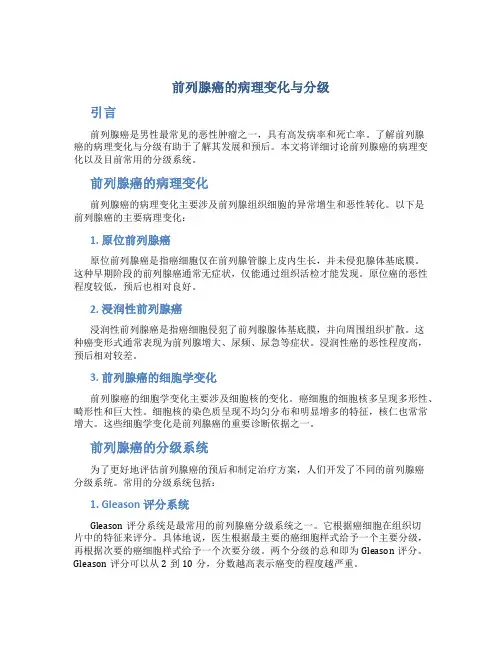 前列腺癌的病理变化与分级
