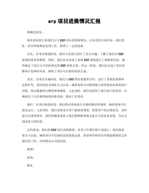 erp项目进展情况汇报