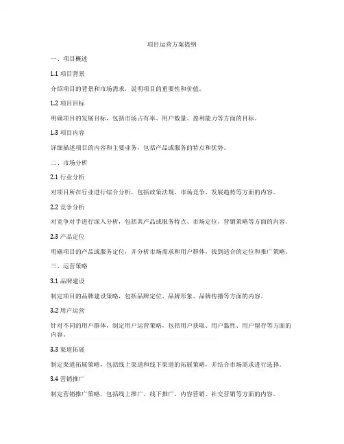 项目运营方案提纲