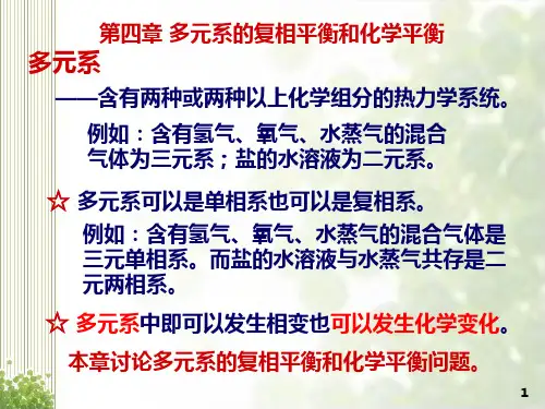 热力学统计物理 第四章 多元系的复相平衡和化学平衡
