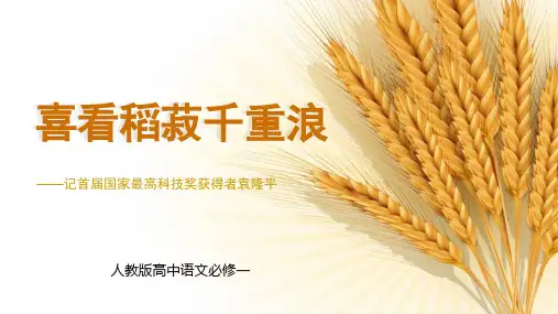 人教版高中语文必修一《喜看稻菽千重浪》PPT课件