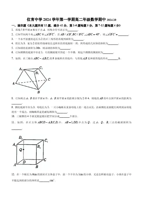 上海市位育中学2024-2025学年高二上学期10月期中数学试卷(含答案)