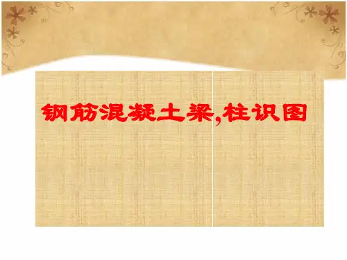 结构识图梁板柱-图解超实用