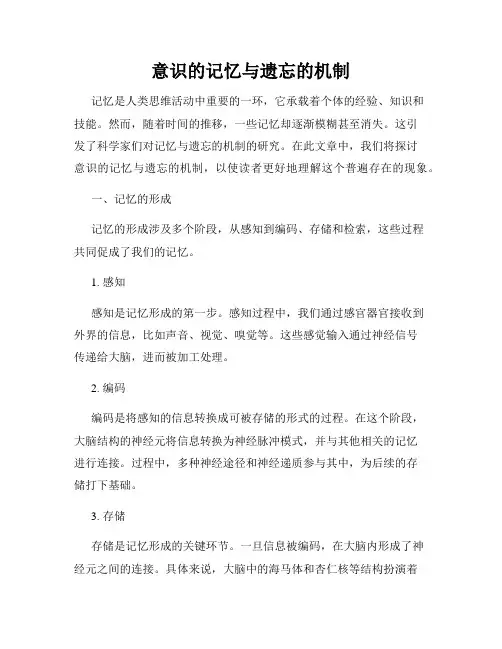 意识的记忆与遗忘的机制