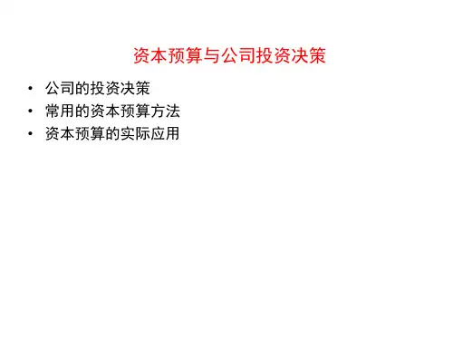 公司理财(第5版)投资篇