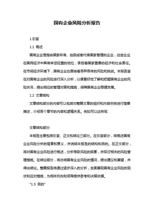 国有企业风险分析报告