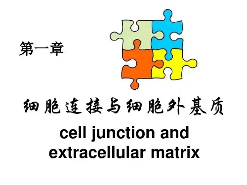 医学专题细胞信号转导精品ppt
