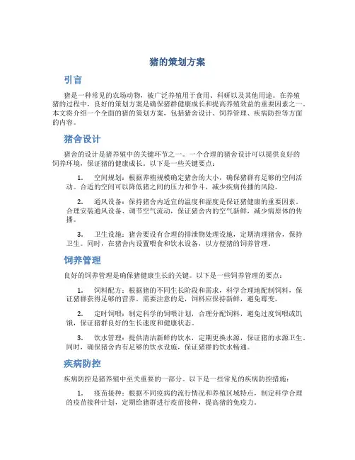 猪的策划方案