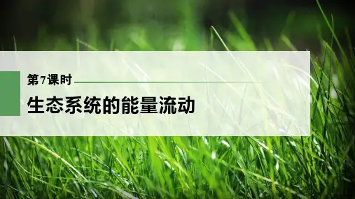 一轮复习  苏教版 生态系统的能量流动(107张) 课件