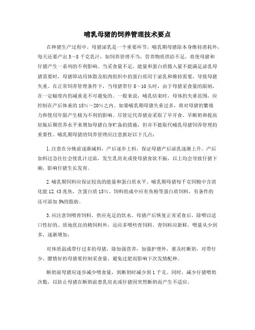 哺乳母猪的饲养管理技术要点
