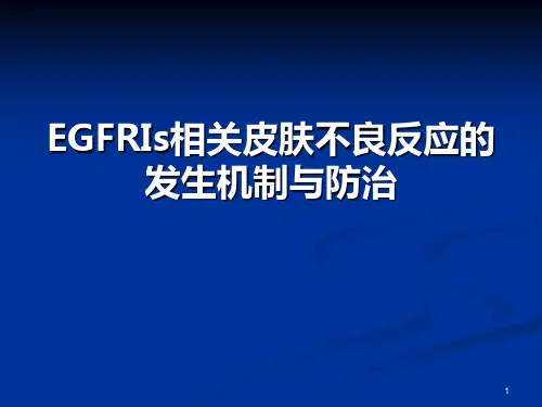 EGFR不良反应【27页】
