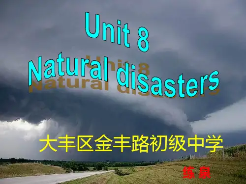译林牛津版8A Unit 8 Integrated Skills公开课教学课件共22张PPT
