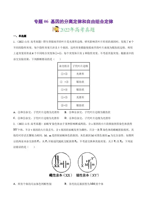 专题06 基因的分离定律和自由组合定律-三年(2020-2022)高考真题生物分项汇编(原卷版)