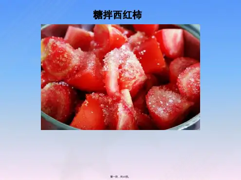 北师大版七年级生物上册53吸收作用课件