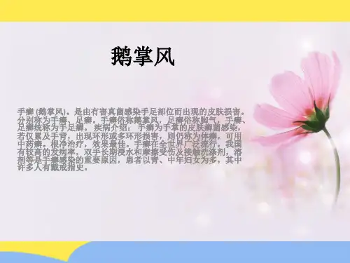 鹅掌风标准版文档